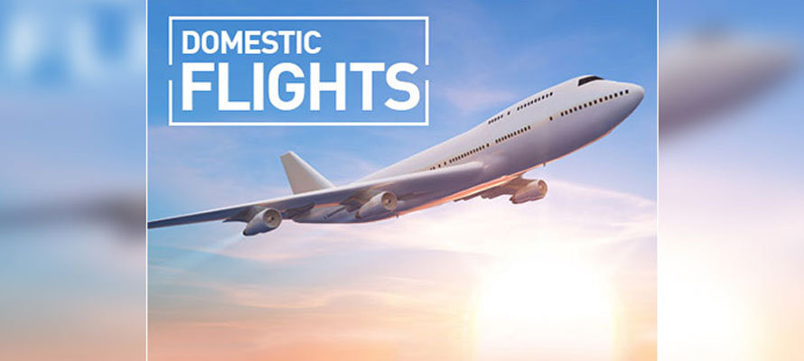 Discount Domestic Flights