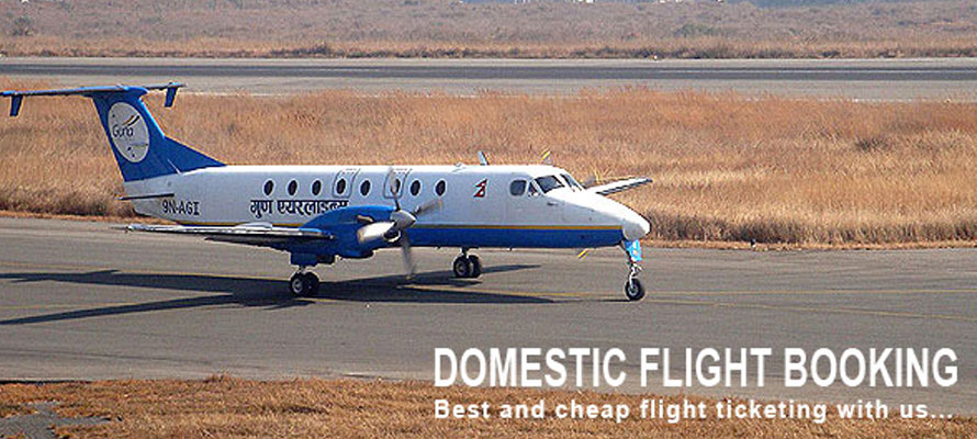 Domestic Flight Tickets