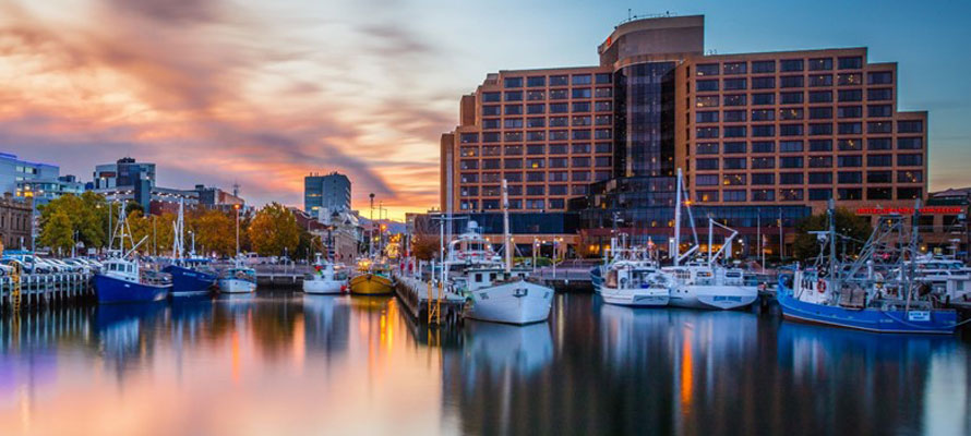Hotel Bookings In Hobart